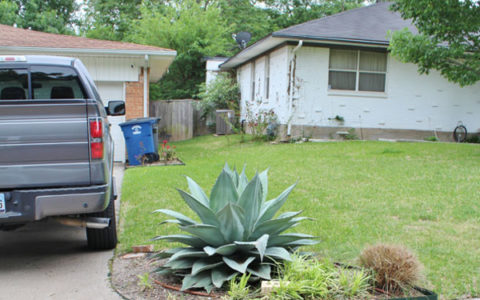 Alger Park Ash Creek Neighborhood Profile